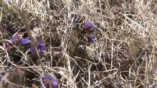 Подъем дачного участка / Дед Федорович 72 года смотреть онлайн