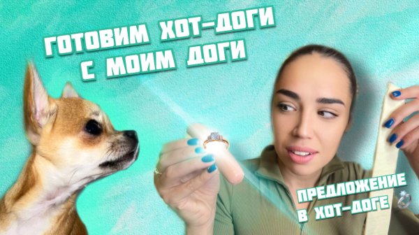 Собака делает предложение в хот доге?