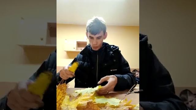 Розы из клёна как на учится смотреть онлайн