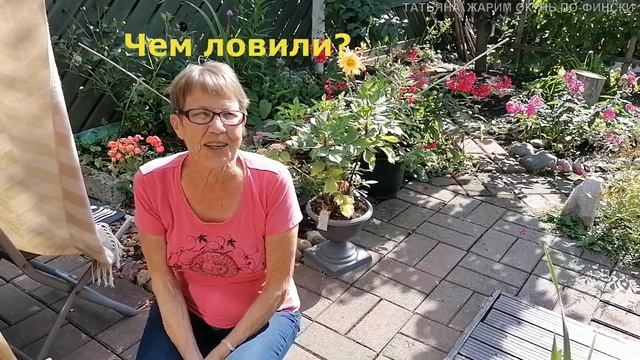 Татьяна. Финляндия.Рассказ заядлой рыбачки Виено/Жарим окуня по-фински. ч.2 /как цветут Сойлики