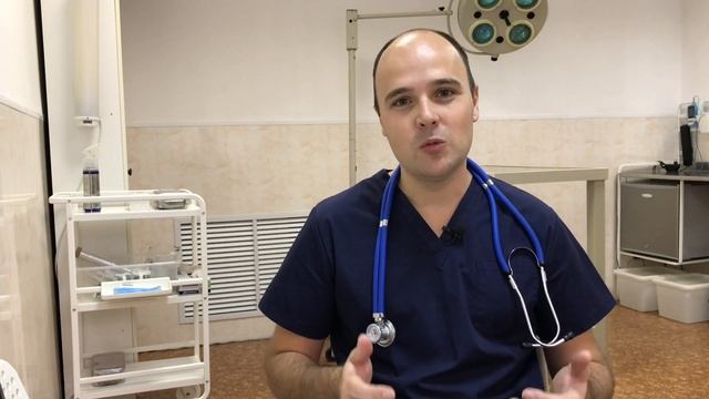 Почему кошка плохо ест, мало ест, нет аппетита у кошки смотреть онлайн