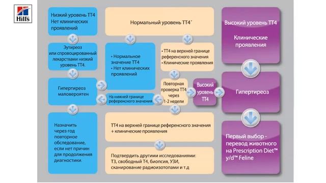 Вебинар на тему: «Гипертиреоз кошек глазами нефролога». Лектор – Лемара Войтова. смотреть онлайн