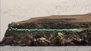 ГАНАПИ - СЧАСТЬЯ МОЛОДЫМ 2024