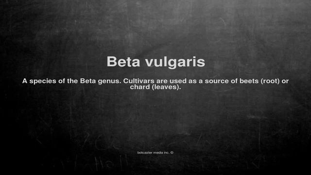 Medical vocabulary: What does Beta vulgaris mean смотреть онлайн