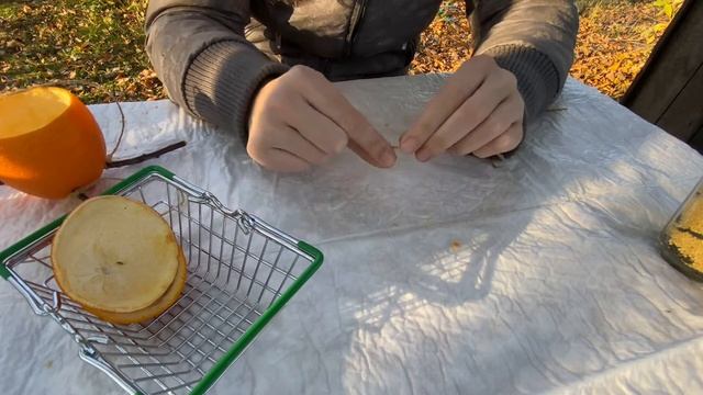 Кормушка для птиц своими руками из АПЕЛЬСИНА?эко-кормушка,поделка для детей смотреть онлайн