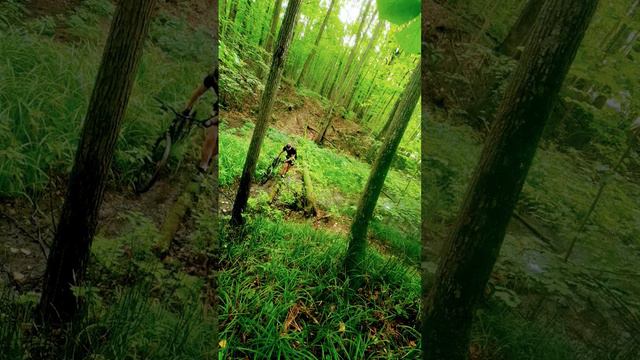 Cross country и болотоshort