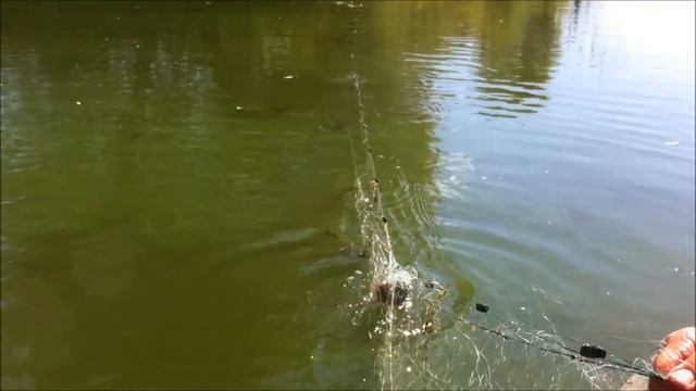 Воронежский заповедник Незаконный лов рыбы в охранной зоне смотреть онлайн