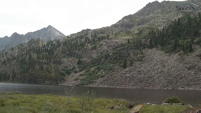 Араданский хребет. Озеро Кедровое. Кедры, озеро и пищухи :) смотреть онлайн