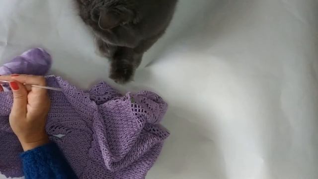 TAG-эстафета: 