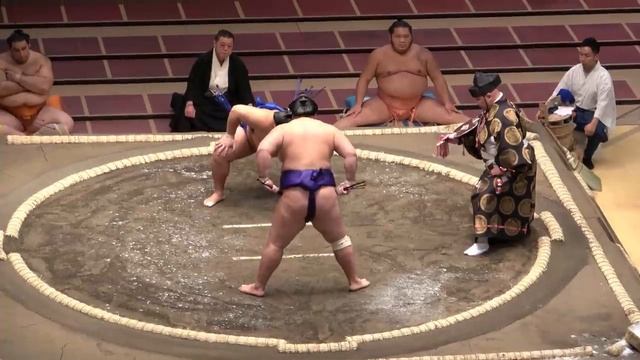 Sumo's special moves explained! смотреть онлайн