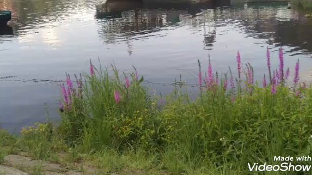 Если любишь ты жизнь [христианская детская песня] смотреть онлайн