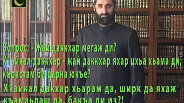 Жай даккхар мегаж ди ? | Алим Албаков Мухьаммад Тахир смотреть онлайн