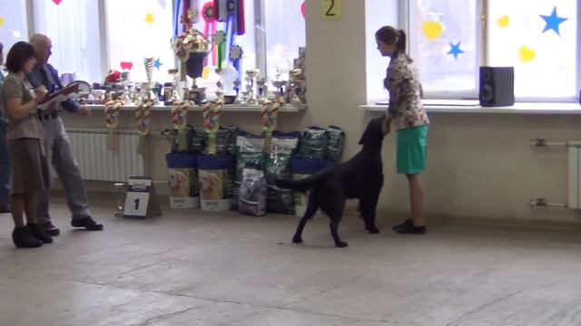 Орфей смотреть онлайн