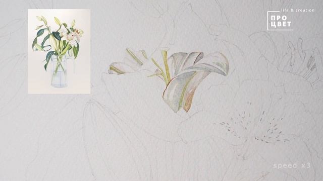 Как нарисовать цветок акварелью | Watercolor flower смотреть онлайн