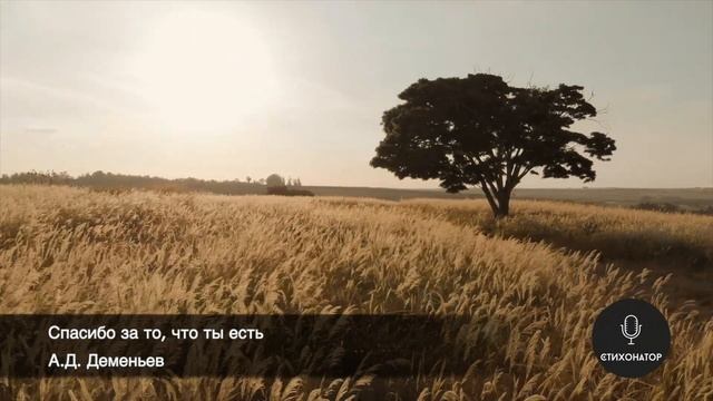 Спасибо за то, что ты есть... смотреть онлайн