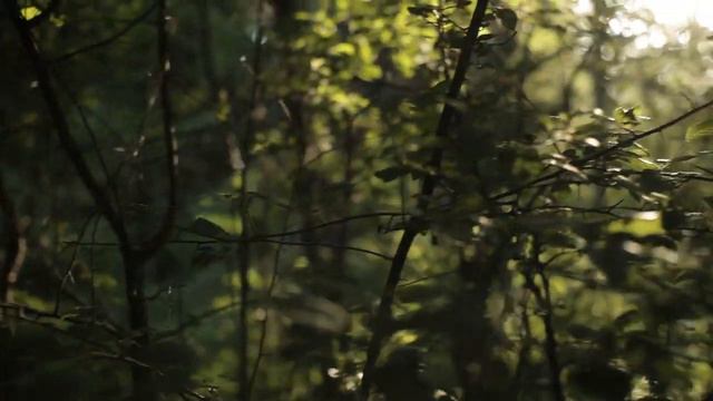 ДИТЯ НЕПОСТОЯННЫЙ смотреть онлайн