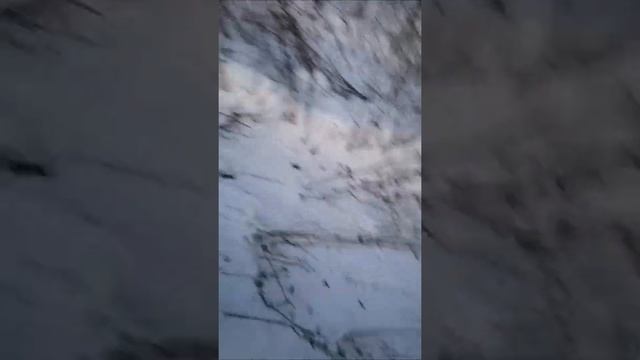 Буран 4ТД выезд в первый снег 2021г, пробег 8км смотреть онлайн