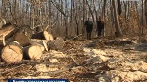Закону о валежнике нужны поправки