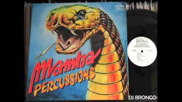 MAMBA PERCUSSIONS SAMBA смотреть онлайн