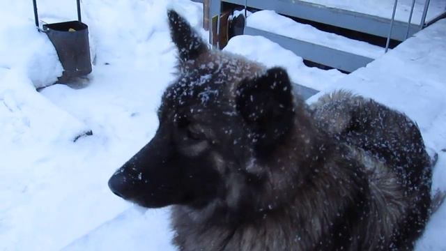 "Ну скажи что-нибудь на камеру!" смотреть онлайн