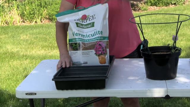 In the Garden: Propagating Plants смотреть онлайн