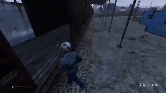DayZ PS4. Стрим на диване. смотреть онлайн