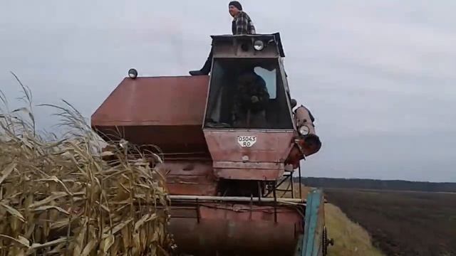 уборка кукурузы на НИВА СК 5 смотреть онлайн