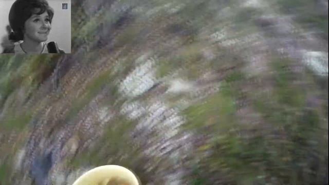 Грибы, август, Кольский смотреть онлайн