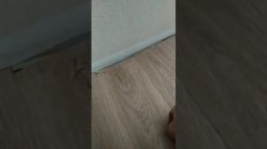 Как избавиться от муравьёв навсегда в доме из бруса