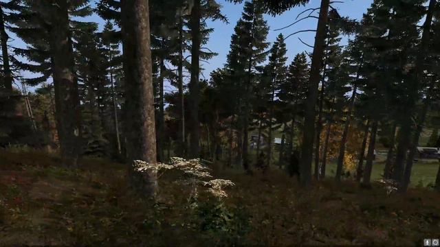 Dayz Standalone. Без Правил! Без Пощады! Выживаем. смотреть онлайн