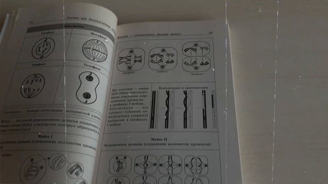 STUDY WITH ME ? конспекты , подготовка к ЕГЭ | Как готовиться к химии и биологии ⚜️ смотреть онлайн