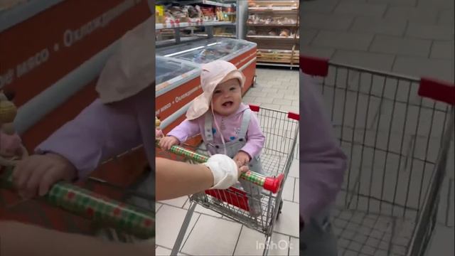 2023.06.24 Чеширский кот, сборы, отправление в Питер смотреть онлайн