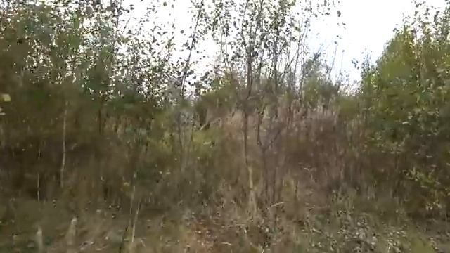 ПРИШЛОСЬ НеПлОхО ПОТРАТИТСЯ\\\НА ХАЛЯВУ НЕ ПОЛУЧИЛОСЬ\\\ЛОМАЕМ СТЕНЫ... смотреть онлайн