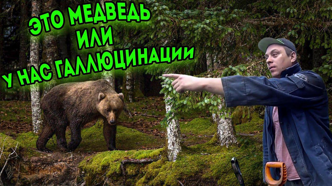 Металлокоп / Это медведь или у нас галлюцинации смотреть онлайн