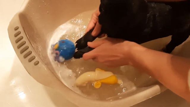 Puggy Time | Как проходит наш день. Во сколько встают щенки? Сколько раз они кушают? смотреть онлайн