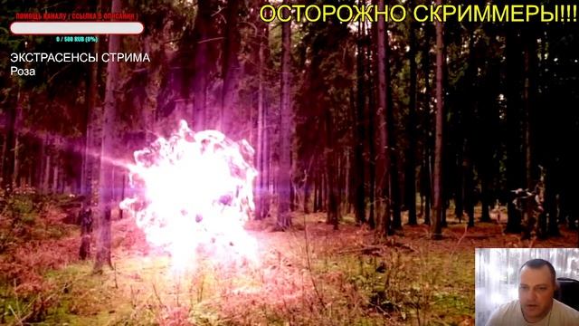 СТАТЬИ О ШАРОВОЙ МОЛНИИ смотреть онлайн