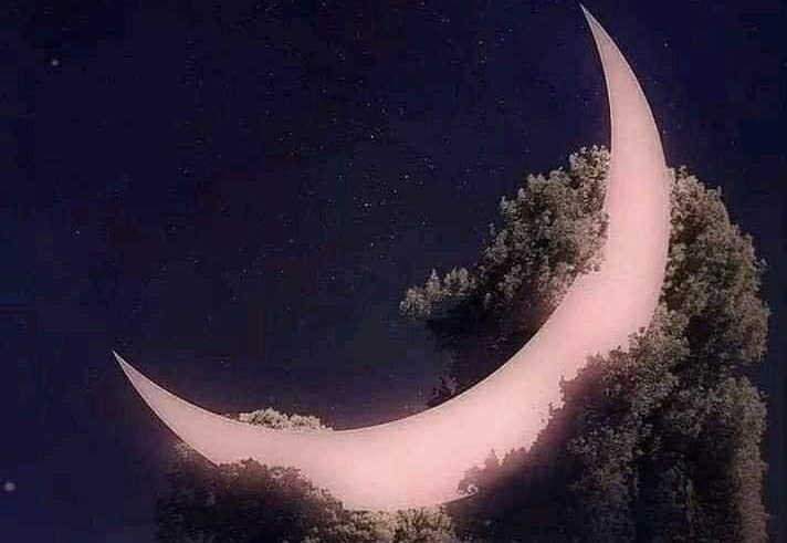 Узнают все, что я не я