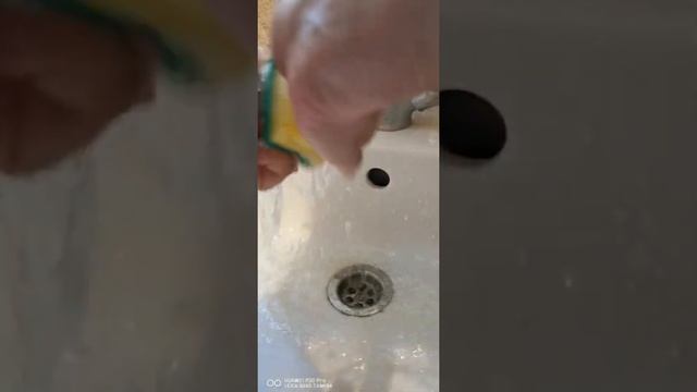 Lal ördək ( Muskus ) yumurtalarının yuyulma qaydası.Как нужно помыть яйцо Мускусных уток.