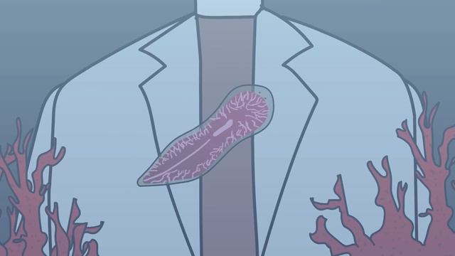 SCP-002 The "Living" Room - Top 15 Euclid SCP (Compilation) смотреть онлайн