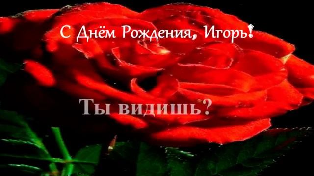 Смешное поздравление. С Днём рождения, Игорь! смотреть онлайн