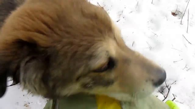 Щенок Баф смотреть онлайн