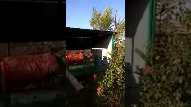 Чимкент, Ленгер, горы смотреть онлайн
