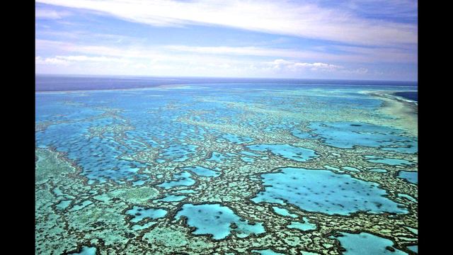 Little Adventure in Great barrier reef Pacific Ocean смотреть онлайн
