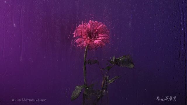 Кинонатюрморт смотреть онлайн