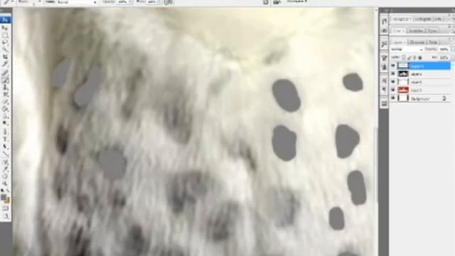 Drawing a cartoon of Baby Bach Snowy Owl on Photoshop смотреть онлайн