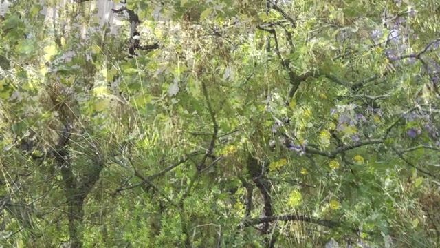 28.04.2022 Счастливая.mp4