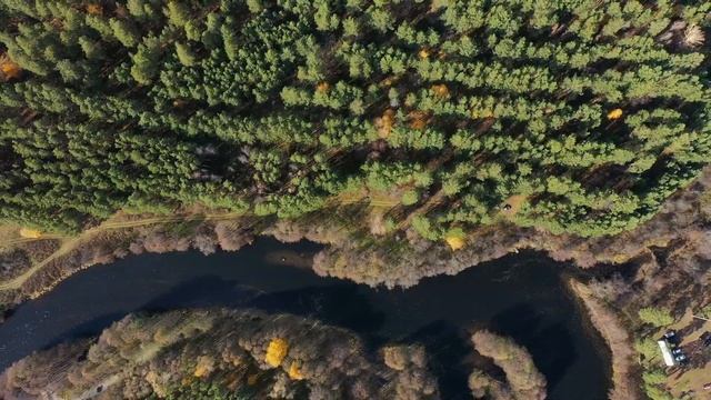 Бузулукский Бор  Drone 4K смотреть онлайн