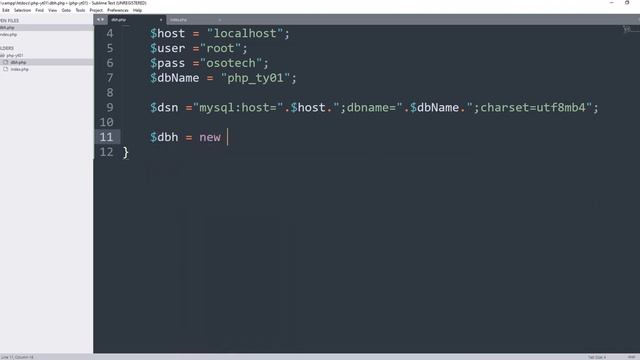 PDO Database Connection Using PHP смотреть онлайн