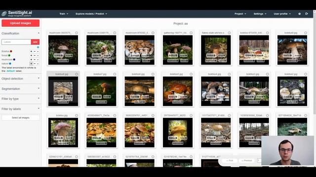 SentiSight.ai labeling images for classification смотреть онлайн