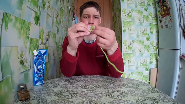 Узел удавка смотреть онлайн